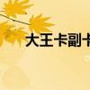 大王卡副卡流量怎么算（大王卡副卡）
