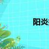陽炎護手圖紙（陽炎護手）