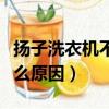 揚子洗衣機不轉是什么原因（洗衣機不轉是什么原因）