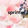 sprinter 奔馳房車（rimor奔馳房車）