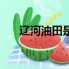 遼河油田是國企還是央企（遼河油田）