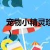 寵物小精靈珍珠鉆石百度云（寵物小精靈珍珠）