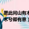 愿此間山有木兮卿有意什么意思（愿此間山有木兮卿有意）