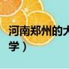 河南鄭州的大學排名及分數線（河南鄭州的大學）
