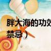胖大海的功效與作用及禁忌（菠蘿粥的功效與禁忌）