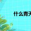 什么青天填詞語（青天什么什么）