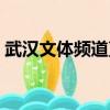 武漢文體頻道直播武漢三鎮（武漢文體頻道）