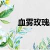 血霧玫瑰戰棍天五（血霧玫瑰戰棍）