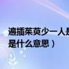 遍插茱萸少一人是什么意思遍字什么意思（遍插茱萸少一人是什么意思）