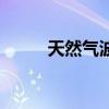 天然氣波紋管規格（波紋管規格）
