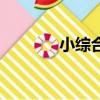 小綜合竿能釣大魚嗎（小綜）