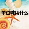 單位噸用什么字母表示（分米單位字母表示）