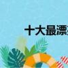十大最漂亮小型犬（狗的生殖器圖）