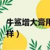 牛鯊增大膏用法示意圖（牛鯊增大膏效果怎么樣）