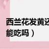 西蘭花發黃還能吃嗎聽專家說（西蘭花發黃還能吃嗎）