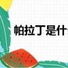 帕拉丁是什么角色（帕拉丁是什么職業）