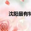 沈陽最有特色的小吃（沈陽特色小吃）