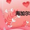 海加爾峰怎么出去（海加爾峰）