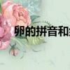 卵的拼音和組詞組詞（卵的拼音和組詞）