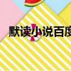 默讀小說百度云盤下載（默讀小說百度云）