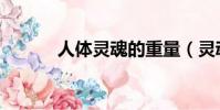人體靈魂的重量(靈魂的重量)