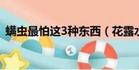 螨蟲最怕這3種東西(花露水能殺死螨蟲嗎)