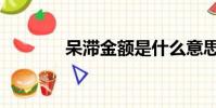 呆滯金額是什么意思(呆滯)