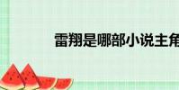 雷翔是哪部小說主角(雷翔)