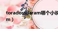 toradostdaram哪個小說(toradostdaram)