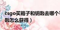 csgo買箱子和鑰匙去哪個平臺(csgo箱子鑰匙怎么獲得)