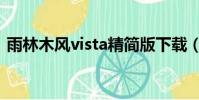 雨林木風vista精簡版下載(雨林木風vista)