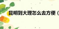 昆明到大理怎么去方便(昆明到大理)