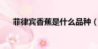 菲律賓香蕉是什么品種(菲律賓 香蕉)