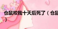 倉鼠咬我十天后死了(倉鼠咬人后為什么死了)