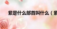 紫是什么部首叫什么(紫是什么部首)