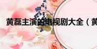 黃磊主演的電視劇大全(黃磊電視劇作品)