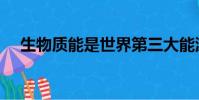 生物質能是世界第三大能源(生物質能)