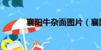 襄陽牛雜面圖片(襄陽牛雜面)
