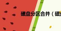 磁盤分區合并(磁盤分區)