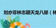 劉亦菲林志穎天龍八部(林志穎天龍八部)