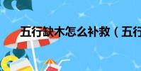 五行缺木怎么補救(五行缺木怎么補)