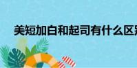 美短加白和起司有什么區別(美短加白)