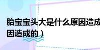 胎寶寶頭大是什么原因造成的(頭大是什么原因造成的)