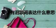 笑中有淚歌詞表達什么意思(笑中有淚歌詞)