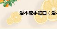 愛不放手歌曲(愛不放手)