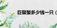 巨螯蟹多少錢一只(巨螯蟹)