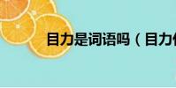 目力是詞語嗎(目力什么意思)