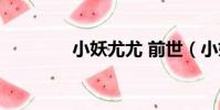 小妖尤尤 前世(小妖尤尤)