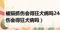被貓抓傷會得狂犬病嗎24小時之內(被貓抓傷會得狂犬病嗎)