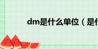 dm是什么單位(是什么單位)